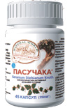 Пасучака